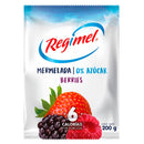 MERMELADA BERRIES SACHET 200 GR (6852087480528)