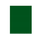 Cartulina 53 X 75 Cm 25 Pliegos Verde Oscuro