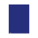Cartulina 53 X 75 Cm 25 Pliegos Azul