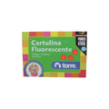 Carpeta Con Cartulina Flúor 26 X 38 Cm 6 Hojas 6 Colores Surtidos
