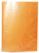 CARPETA PLASTIFICADA OFICIO BEIGE (6852078272720)