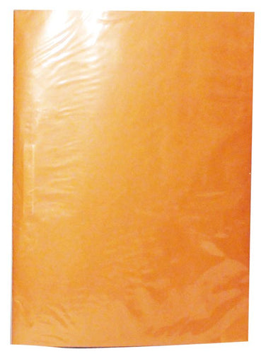CARPETA PLASTIFICADA OFICIO BEIGE (6852078272720)